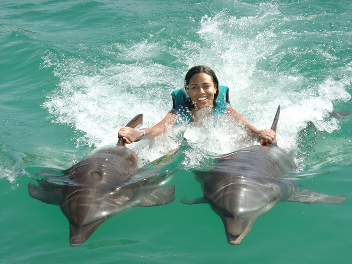 Ocean World dolphin swim and marine encounter