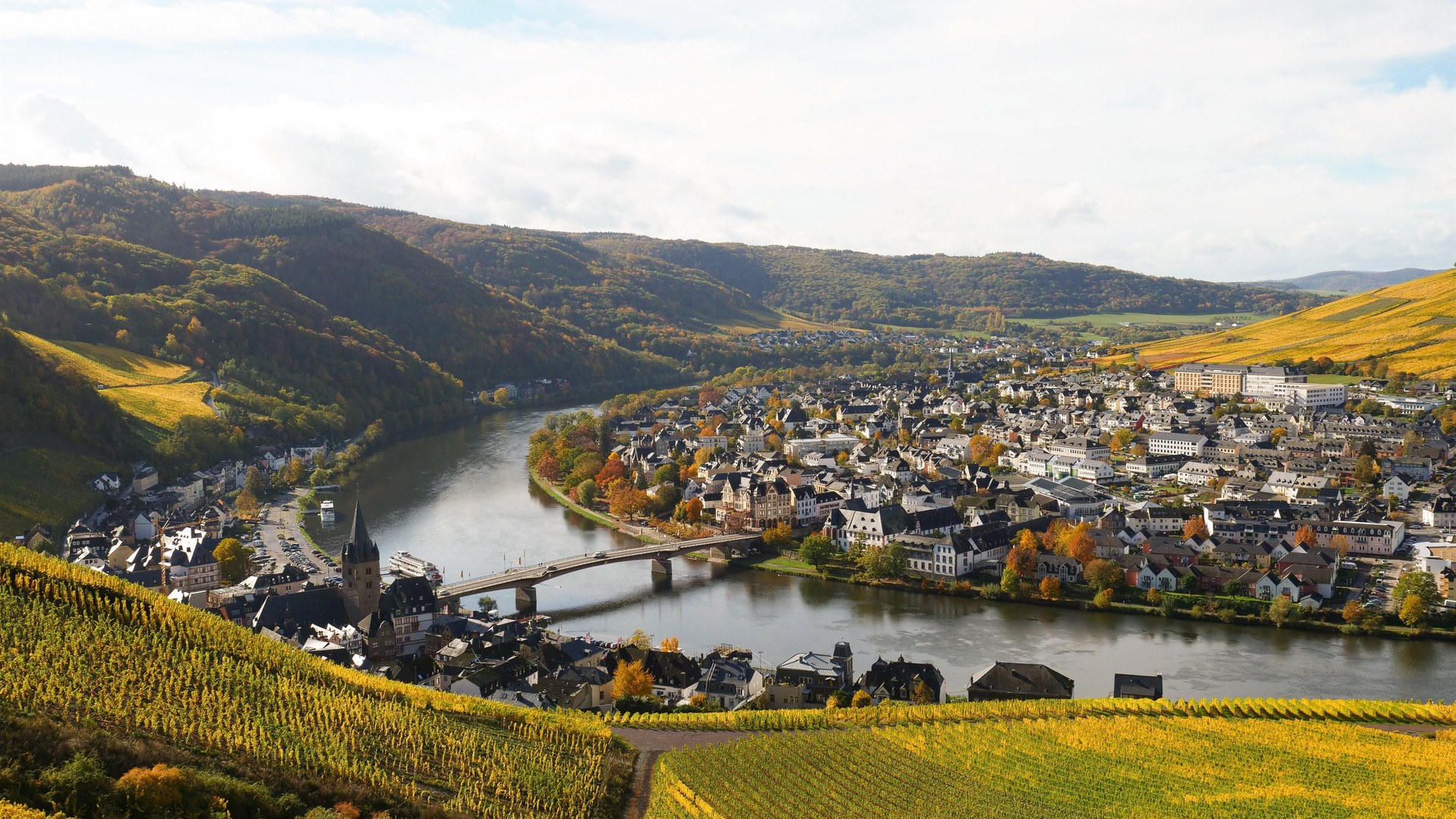 WineCityExperienceTour: Vineyards, Old Town & a Glass of Mosel Riesling