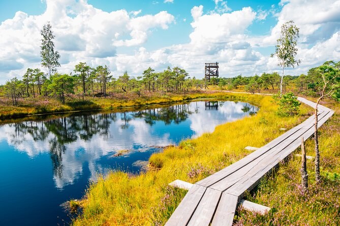 Kemeri Bog Boardwalk & Jūrmala Seaside: Nature & Belle Époque