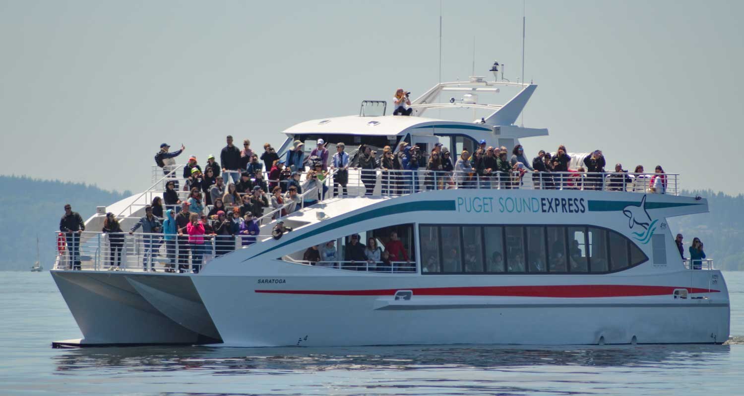 Guaranteed Whale & Orca Watching: Puget Sound Express
