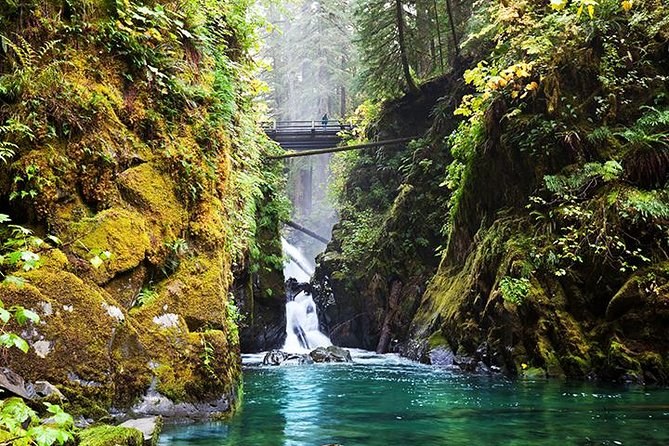 Olympic Peninsula: Hurricane Ridge & Sol Duc Falls Wilderness Day
