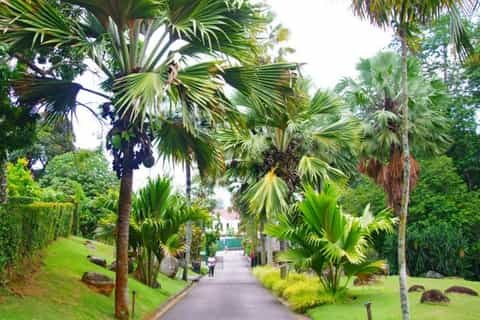 Victoria City & Botanical Gardens: Private Cultural Immersion
