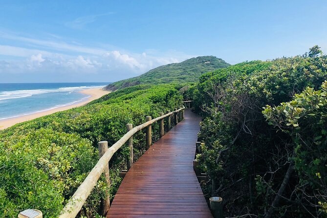 Maputo Special Reserve: Private Full-Day Wildlife Safari