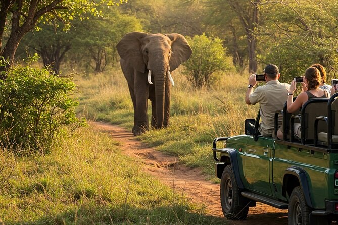Kruger National Park: Private One-Day Big Five Safari from Maputo