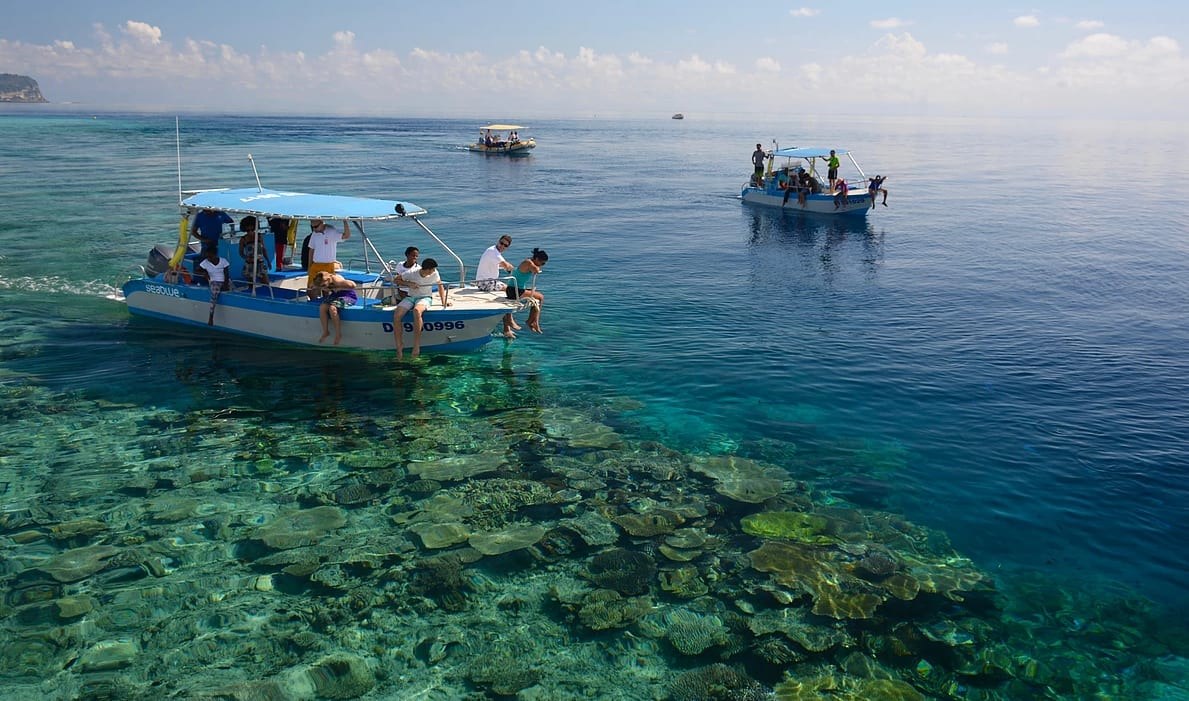 Mayotte Lagoon: Private Snorkel & Turtle Safari