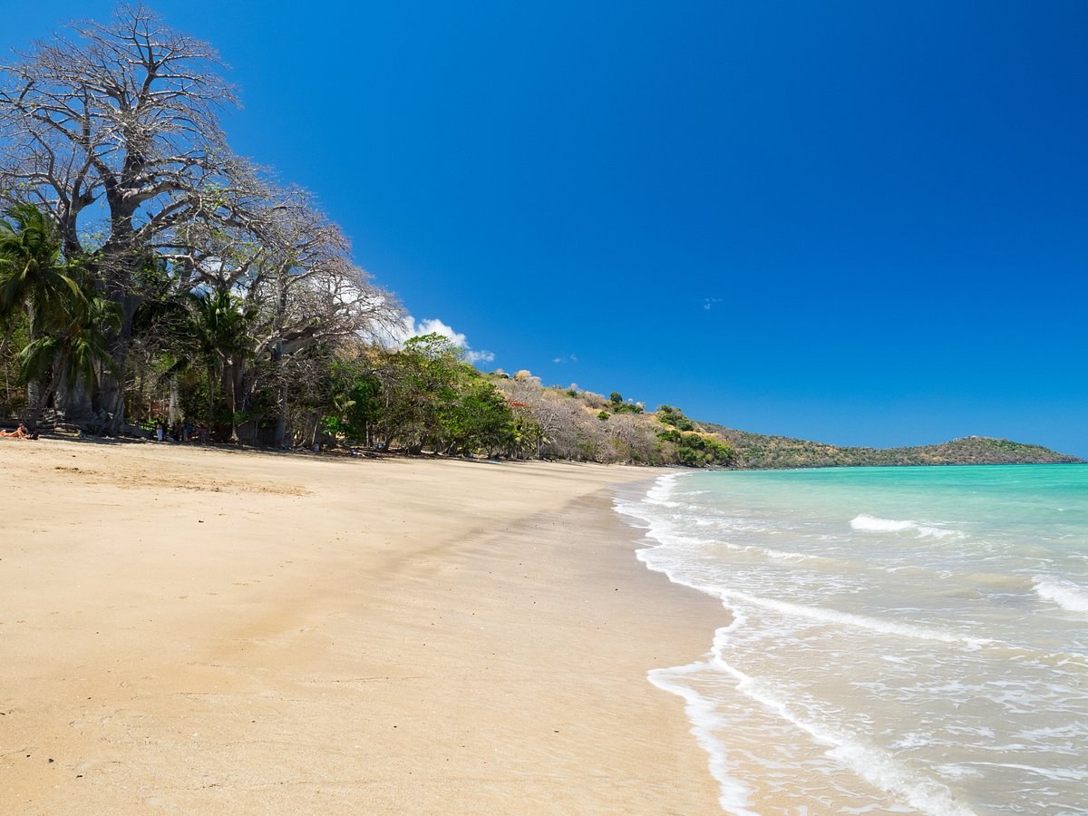 N'Gouja Beach & Lemur Encounter: Private Half-Day