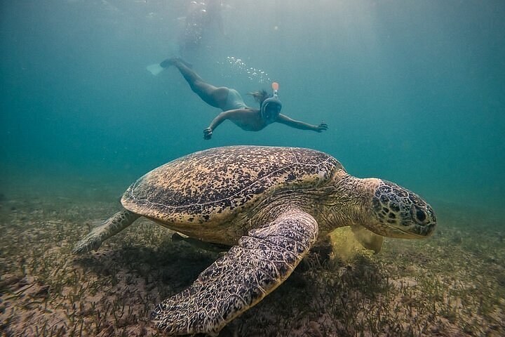 Nosy Sakatia Private Cruise: Giant Turtles & Coral Gardens