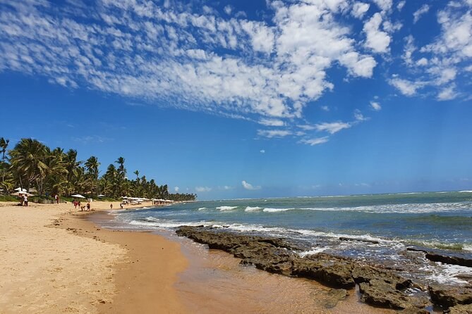 Praia do Forte Turtle Reserve & Coconut Coast: Private Day Tour