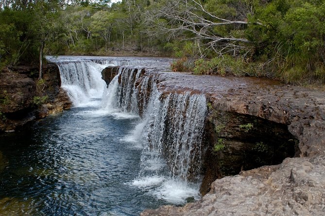4WD Cape York Wilderness & Cooktown Full-Day Adventure