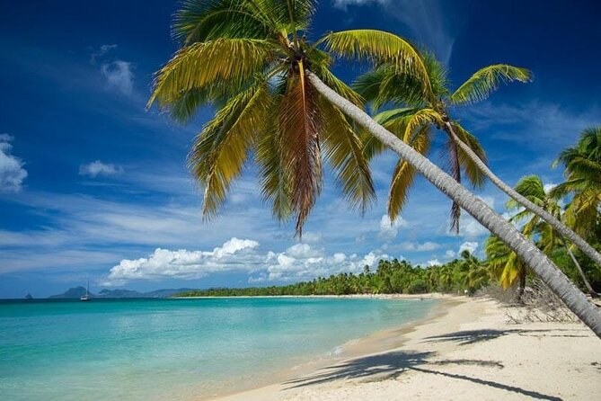 Private Full-Island Panorama: Rainforest, Rum & Les Salines