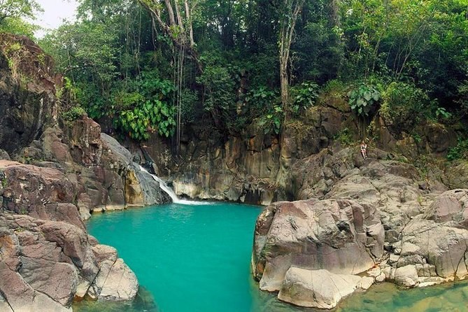 Private Tailor-Made Full-Day Tour of Guadeloupe: The Butterfly Island Revealed