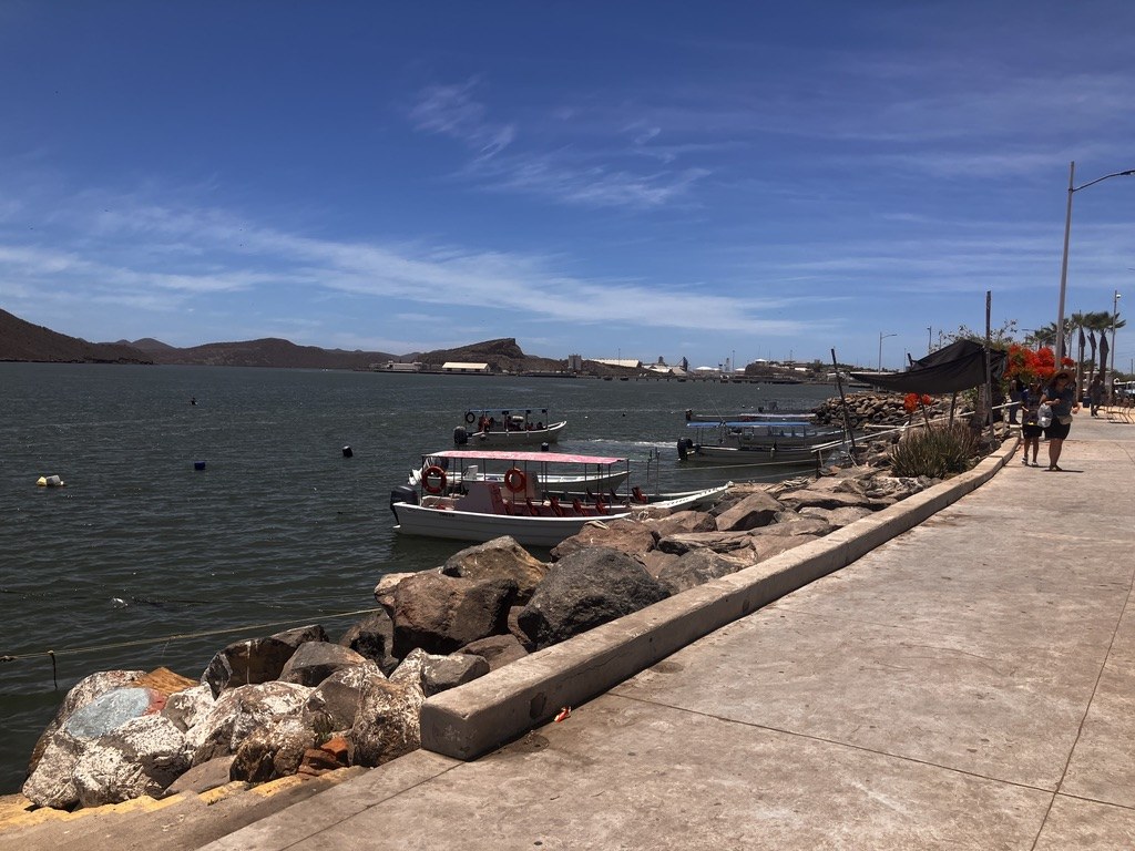 Topolobampo Bay Sunset Sail & Seafood Tasting