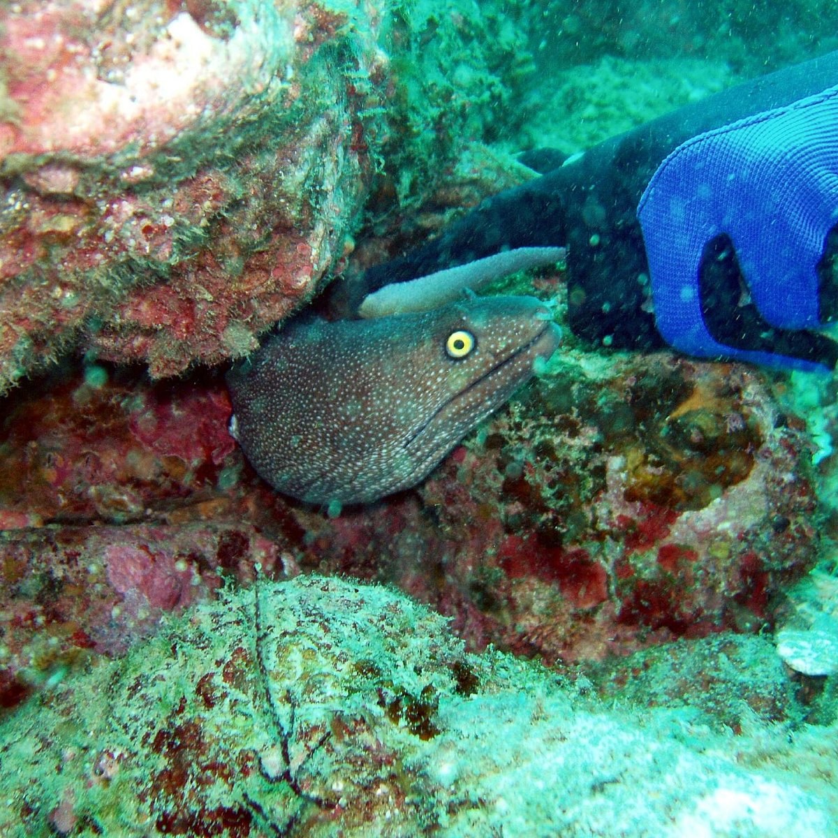 Gary's Dive Shop: Expert-Led Nature & Snorkel Tour