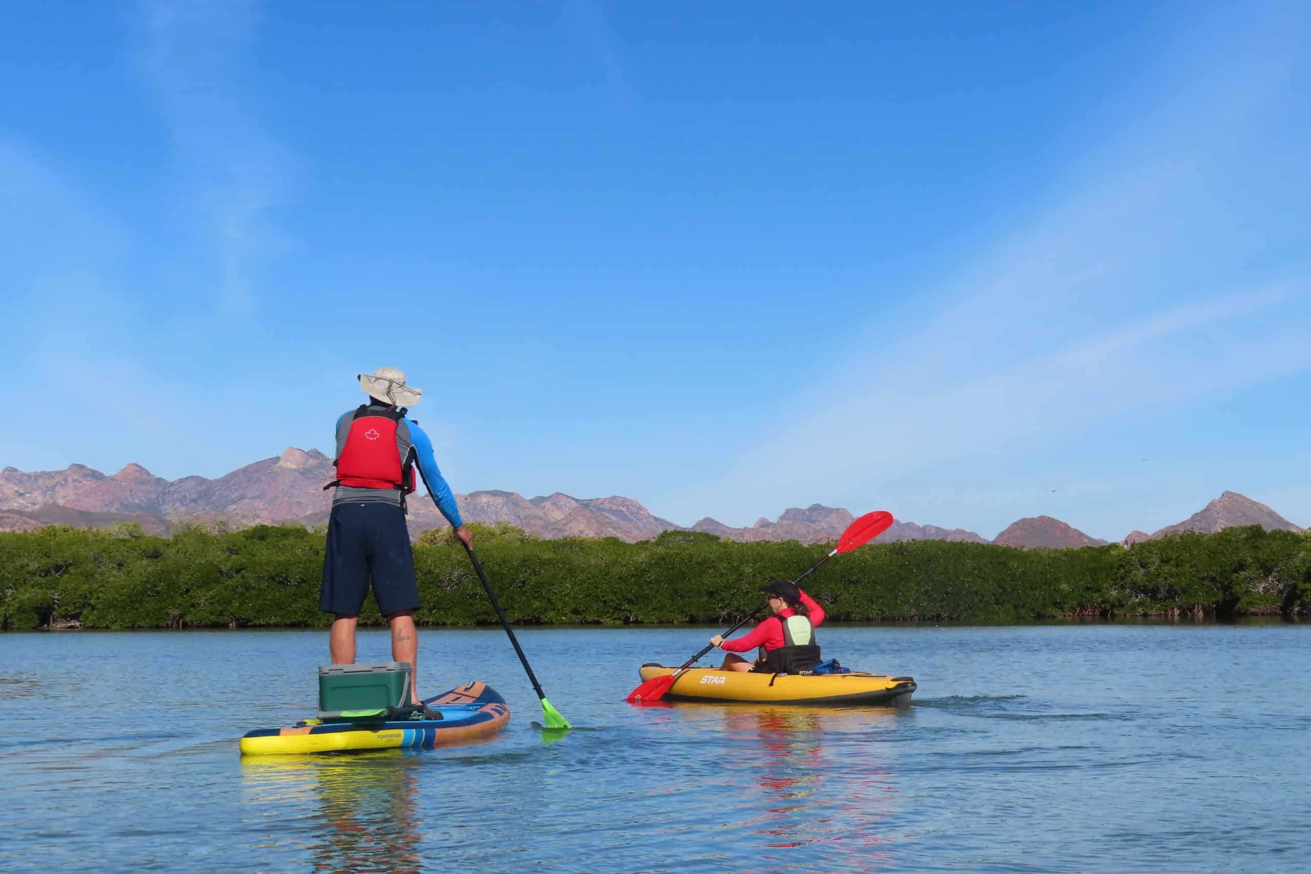 Estero El Soldado Kayak & Birdwatching: Protected Estuary