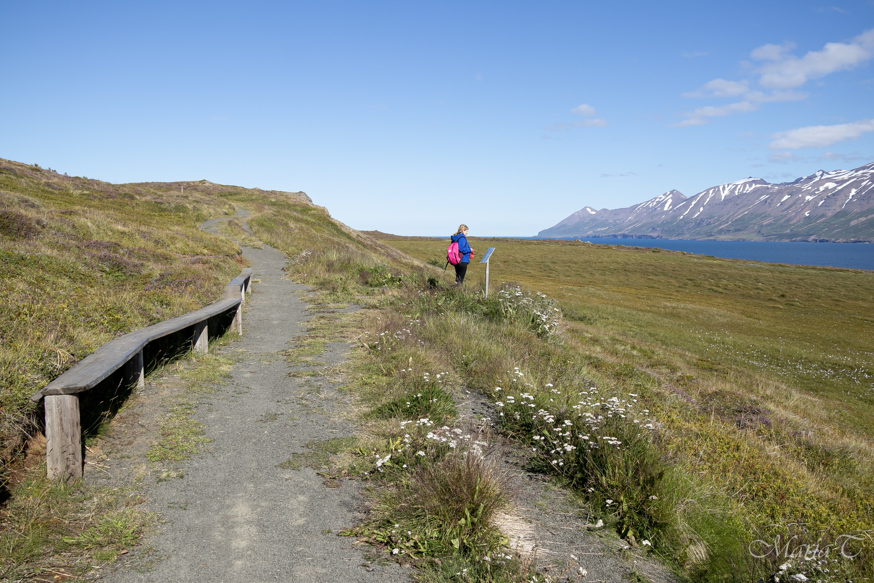 Hrísey Island Ptarmigan Trail & Birdwatcher's Walk with a Local Guide