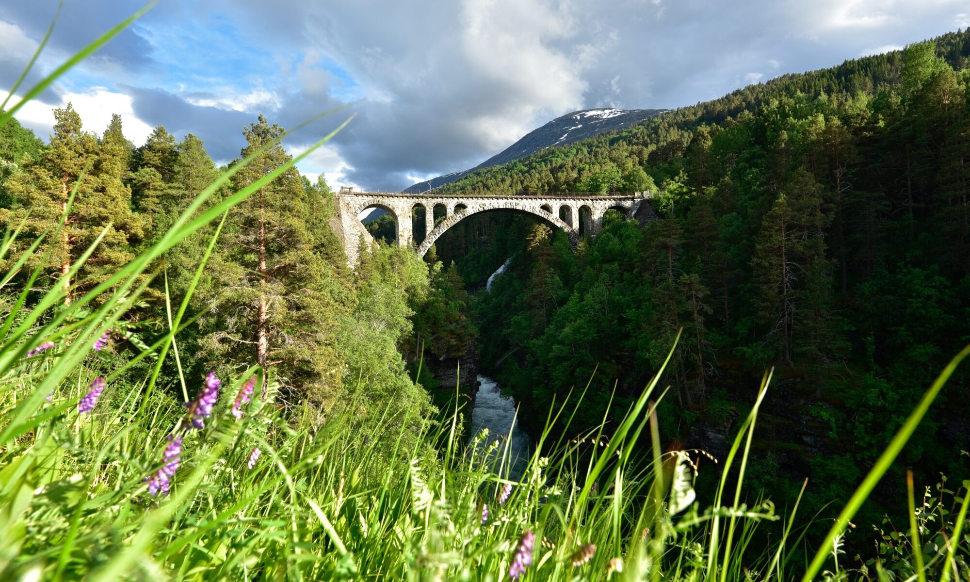 Raumabanen Scenic Train: Rauma Railway Valley Journey