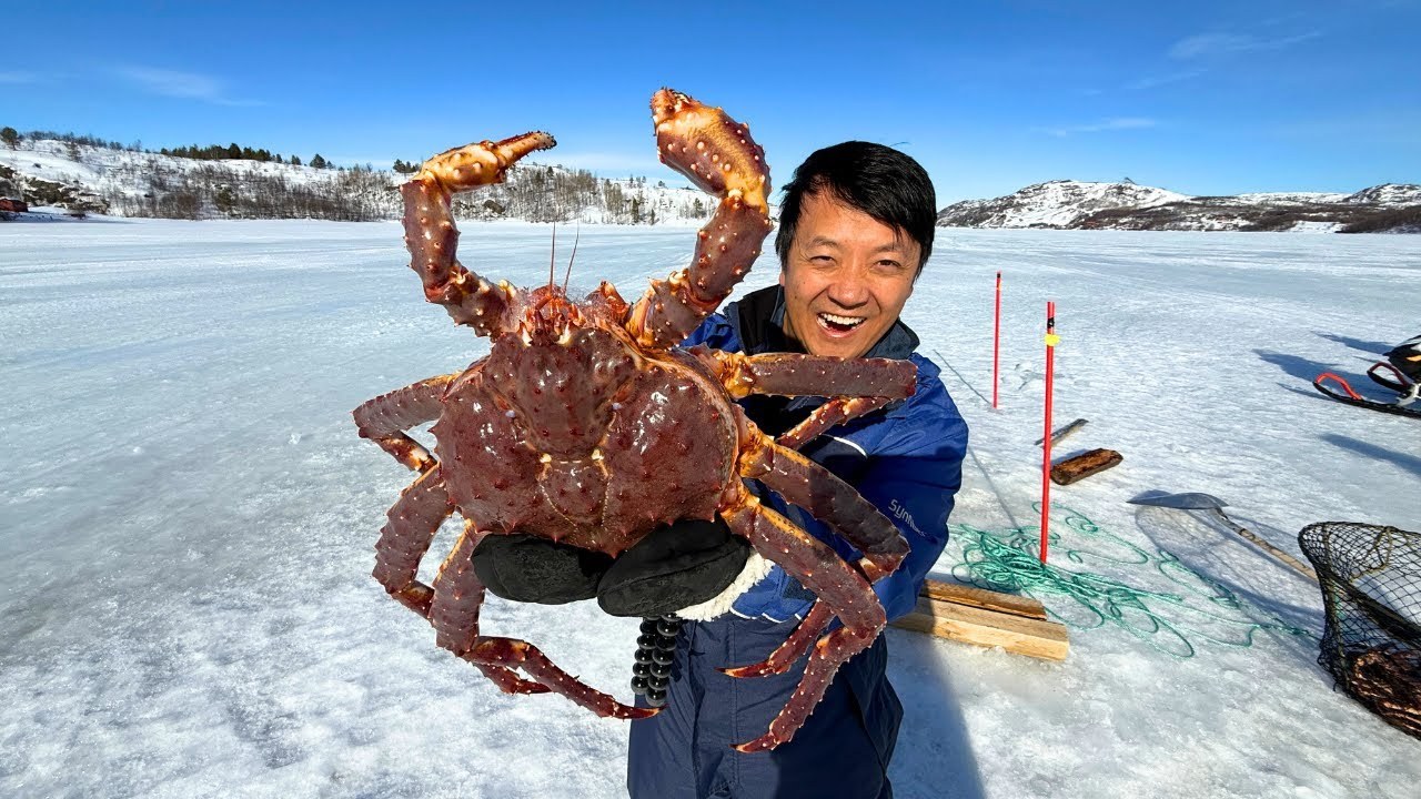 North Cape & King Crab Safari: Arctic Feast on the Barents Sea
