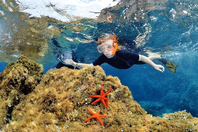 Private Snorkel & First Scuba Dive in the Gulf of Calvi