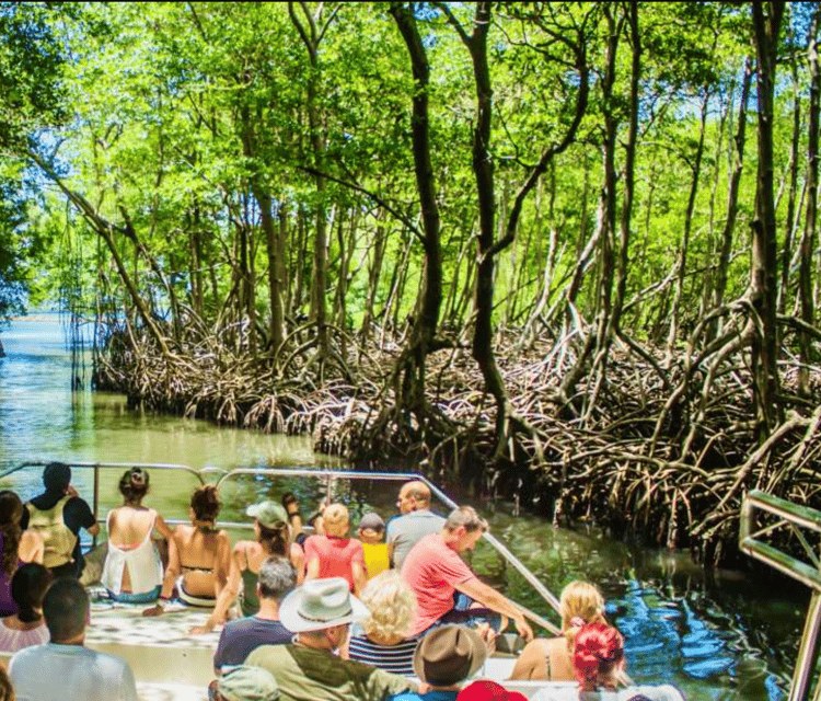 Los Haitises National Park: Boat, Caves & Mangrove Walking Tour