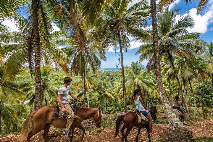 Horseback Ride Through Jungle Trails to a Private Caribbean Beach