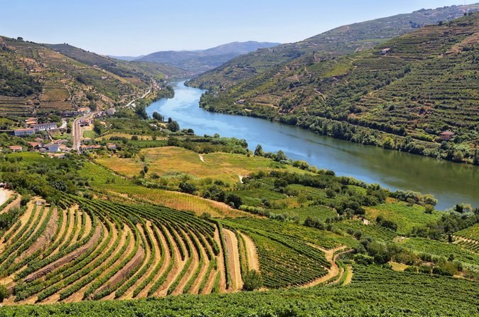Douro Valley Sommelier Tour: 2 Wine Regions, Boat Trip & Lunch