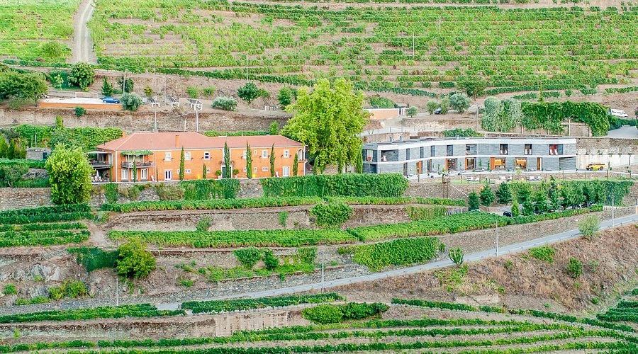 Quinta do Vallado: Prestige Wine Estate Visit & Tasting
