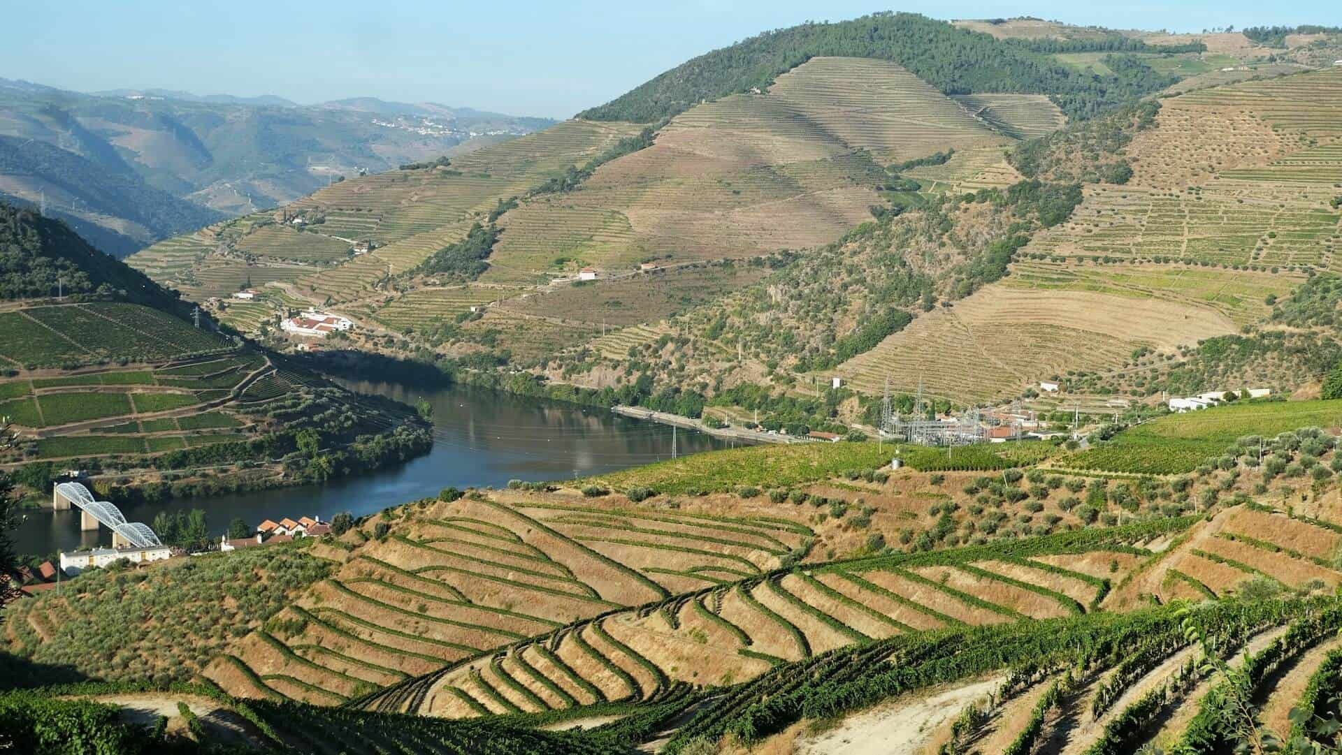 Museu do Douro: Port Wine, Culture & the UNESCO Landscape Story