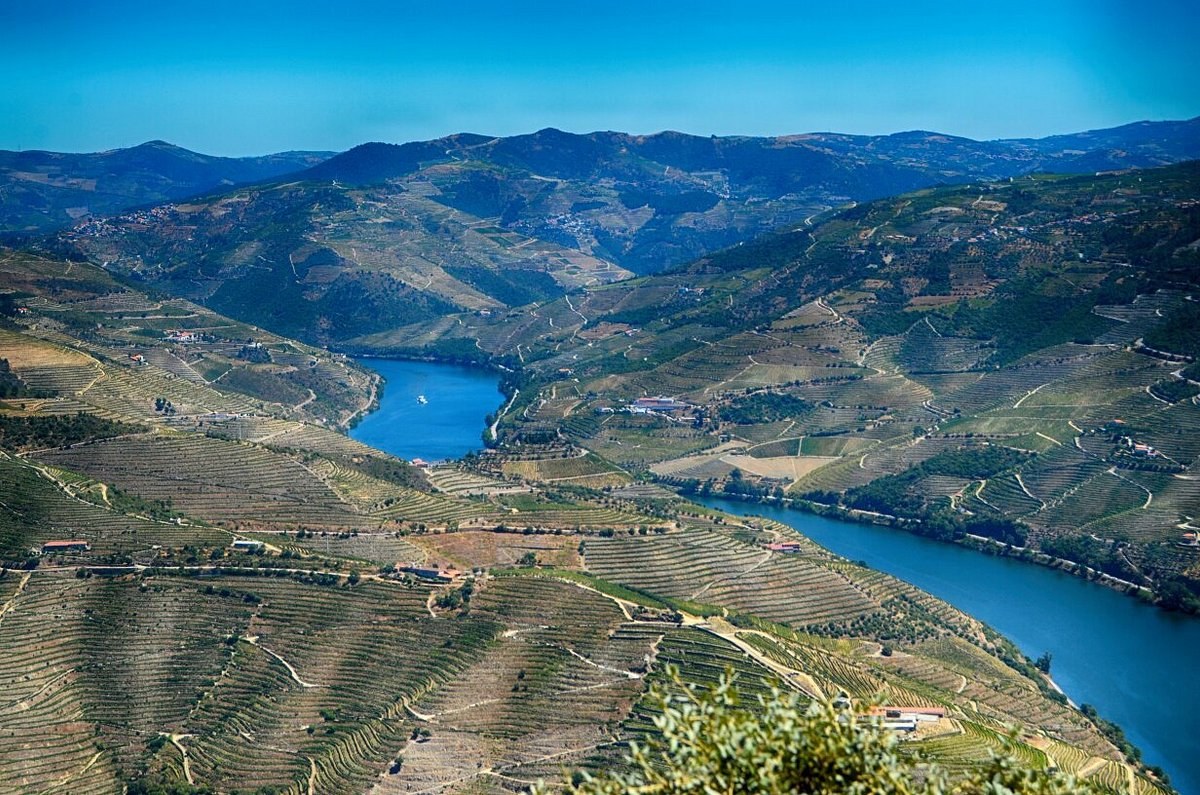 Miradouro de São Leonardo de Galafura: Panoramic Douro Hike & Views