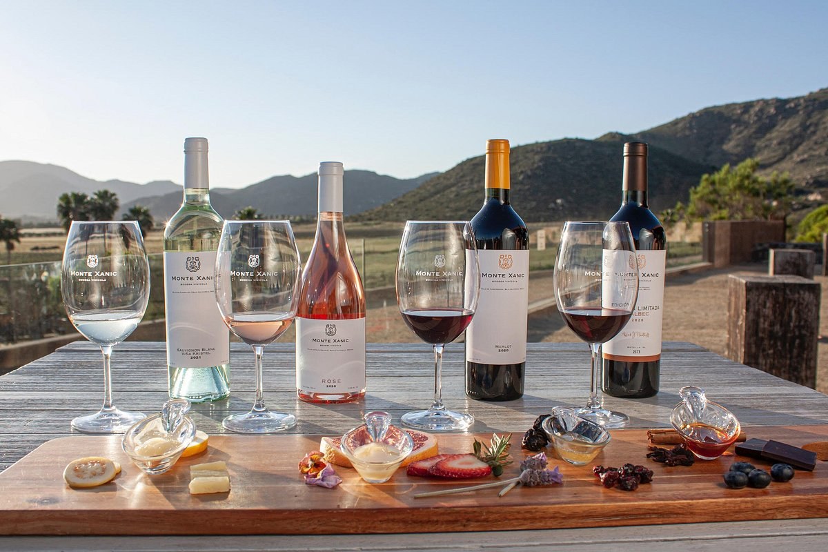 Valle de Guadalupe wine country: boutique winery tastings (Decantos, Monte Xanic, Vena Cava) with a private driver