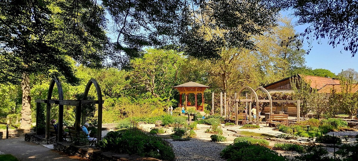 Visby Botanical Garden & Almedalen: A Private Garden Stroll