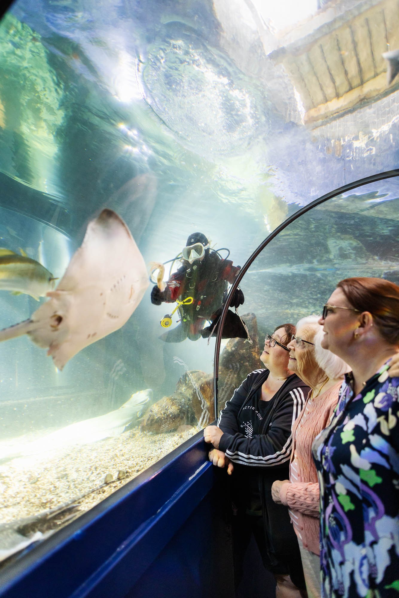 Havets Hus Aquarium: Private Expert-Led Behind-the-Scenes Tour