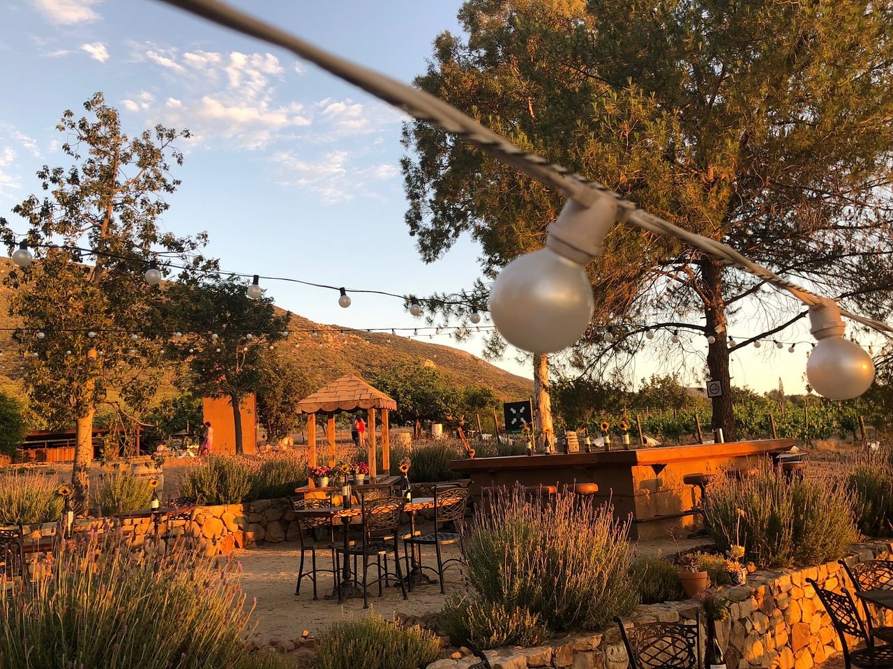 Long lunch at a vineyard asador: Finca Altozano or Deckman's en el Mogor