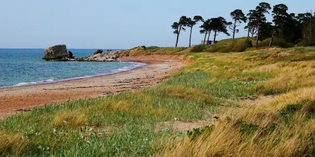 Liepāja Seaside Park & White Sand Beach: Private Guided Walk