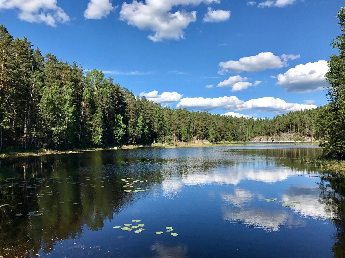 Nuuksio National Park: Private Wilderness & Nordic Nature Hike