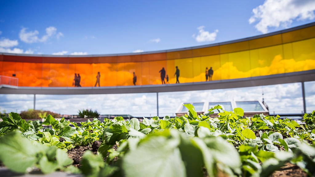 ARoS Art Museum: Rainbow Panorama & Private Expert Tour