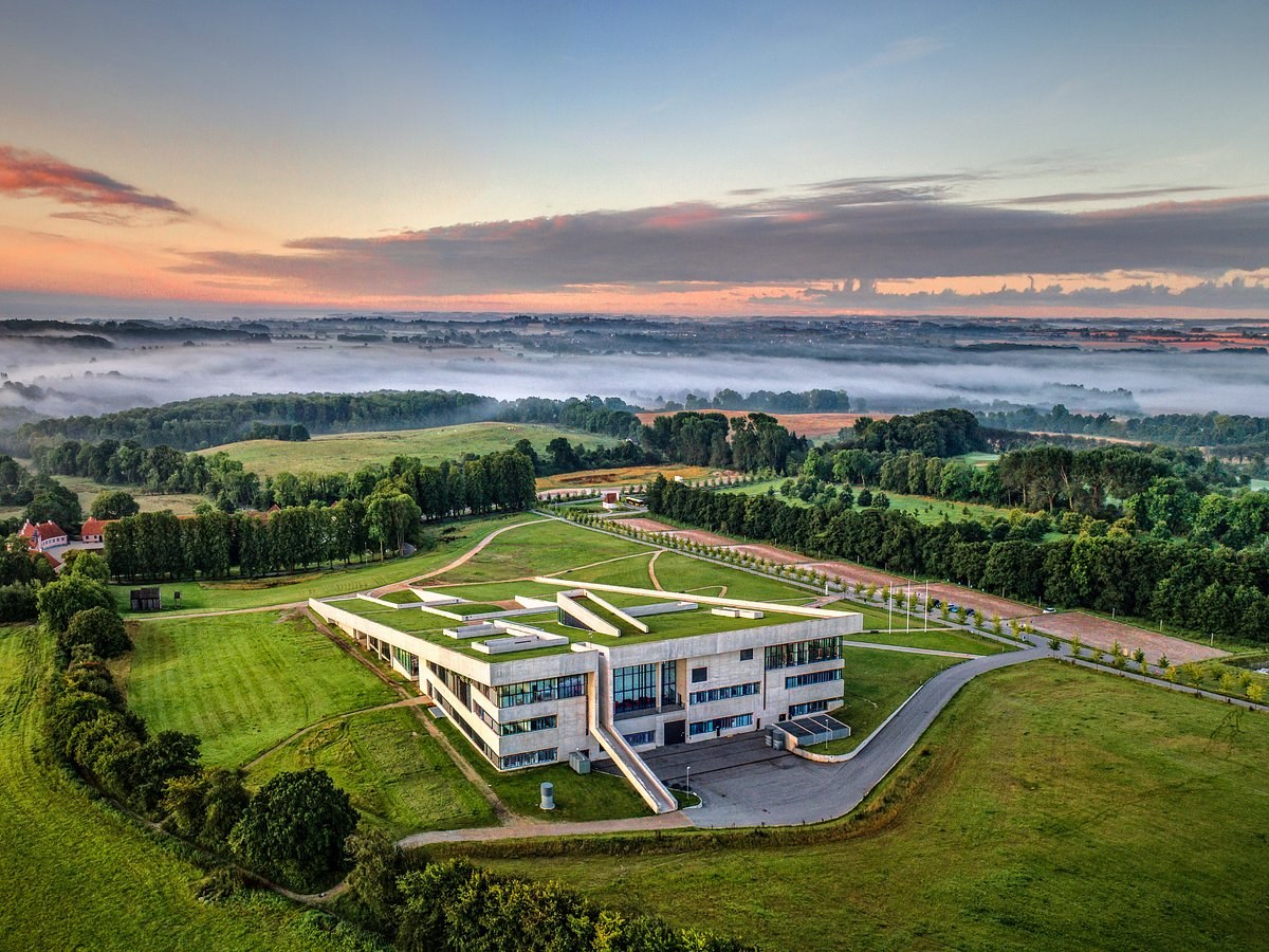 Moesgaard Museum: Vikings, Bog Bodies & Bronze Age Wonders