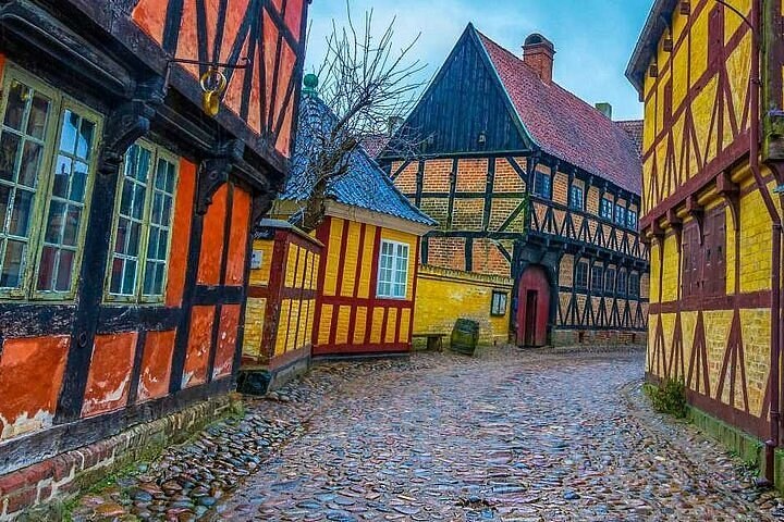 Aarhus Private Walking Tour: Latin Quarter to Viking Roots