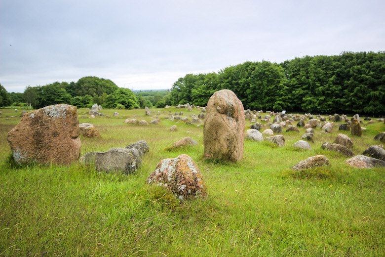 Lindholm Høje Viking Burial Ground: Private Expert Tour