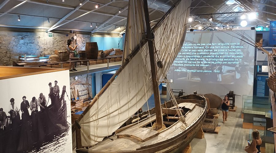 Museu de la Pesca & Palamos Fish Auction: A Master Class in Tradition