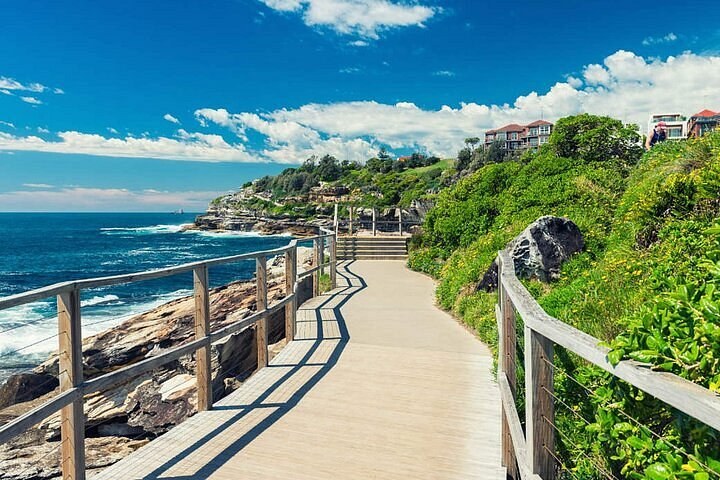 Bondi to Coogee Coastal Walk & Private Chef Picnic