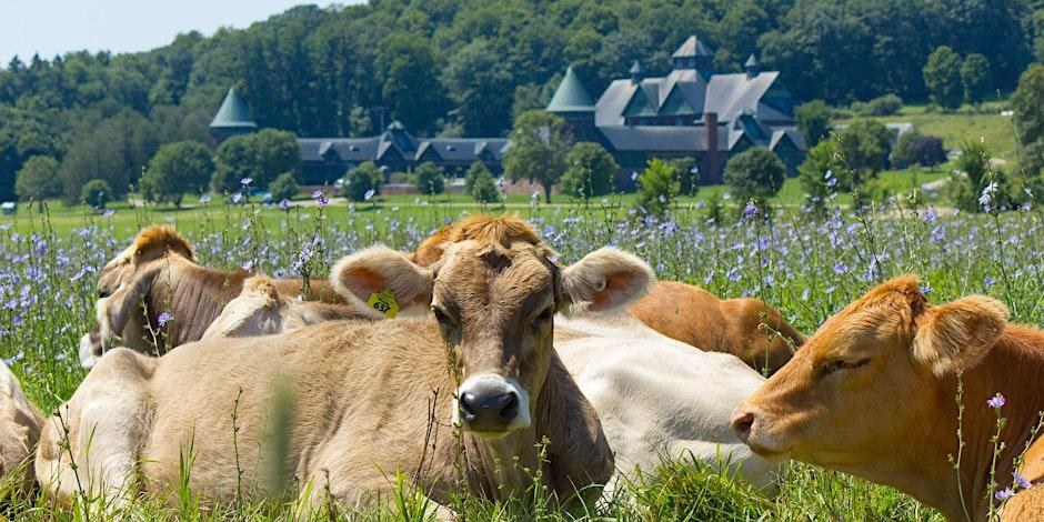 Shelburne Farms: Open-Air Wagon Tour of a Gilded Age Estate