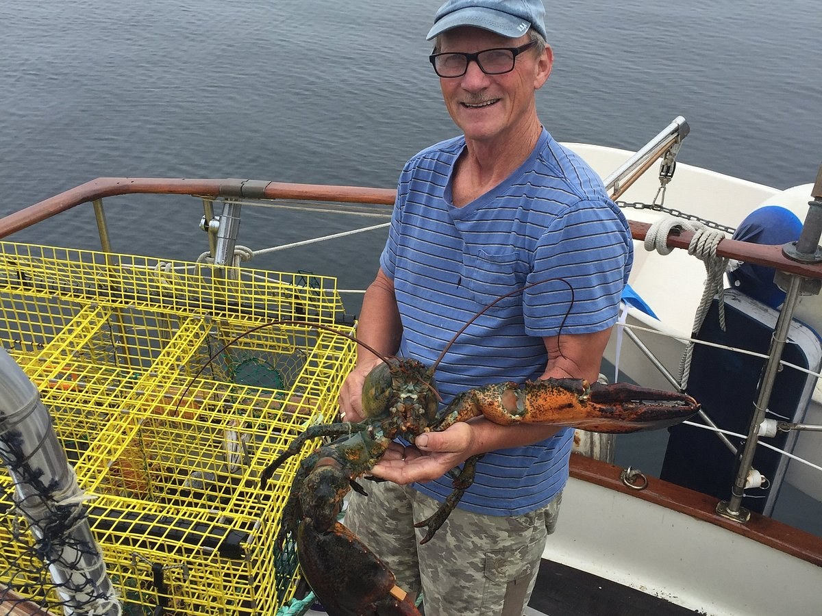 Deep-Sea Lobster & Bluefin Tuna Adventure off Shelburne Harbour