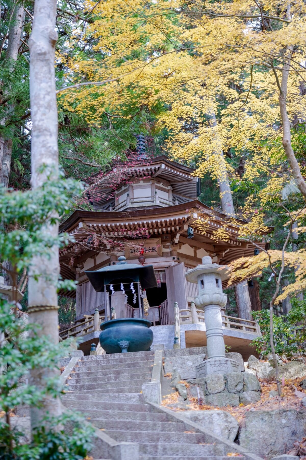 Kinkasan Island: Koganeyama Shrine & Sacred Deer Trek