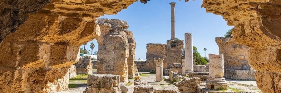 Carthage Ruins: Archaeological Deep-Dive with a Private Historian