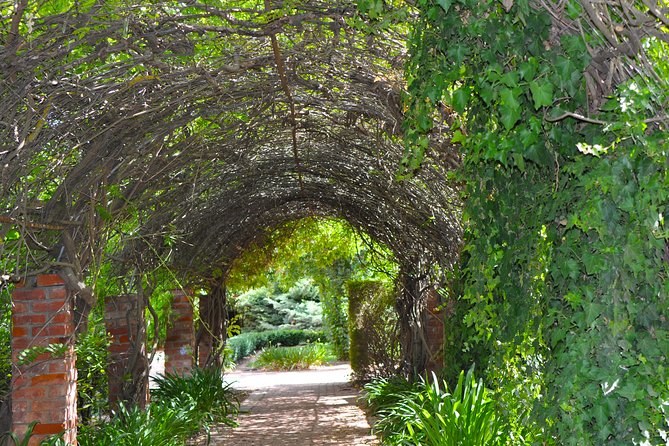 Barossa Valley: Private Cellar Door Tour & Gourmet Lunch