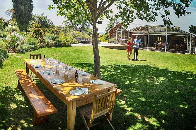 McLaren Vale: Private Wine & Olive Oil Immersion with Chef Lunch