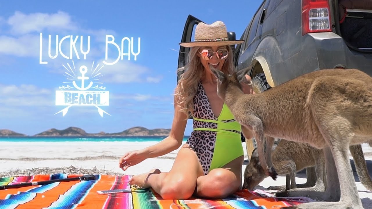 Lucky Bay: Kangaroos on Australia's Whitest Beach