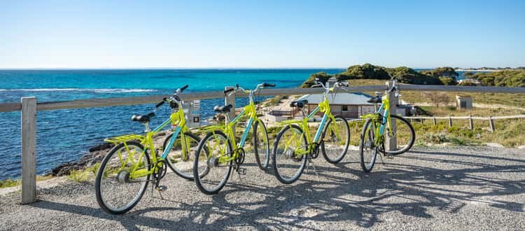 Rottnest Island: Luxury Ferry, Bike & Quokka Selfie Day