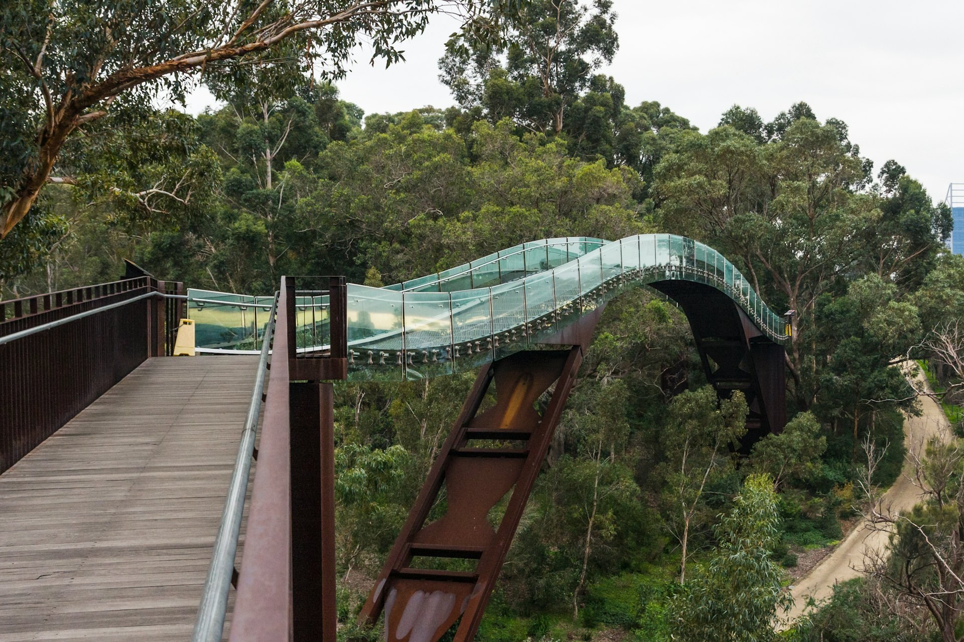 Kings Park & Botanic Garden: Private Expert Guided Walk