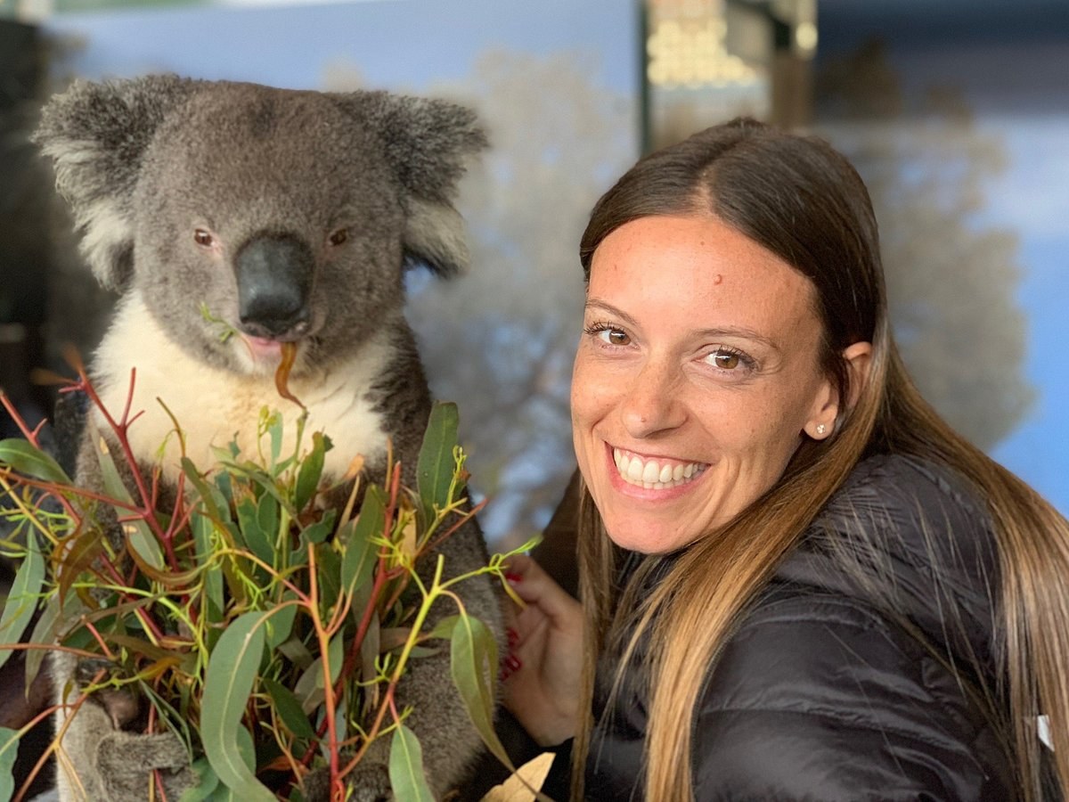Caversham Wildlife Park: Koalas, Kangaroos & Wombats Close-Up